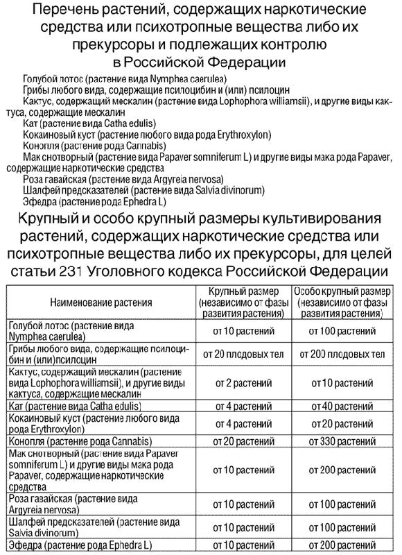 Информация о недопущении выращивания наркосодержащих растений и необходимости уничтожения их дикорастущих очагов.