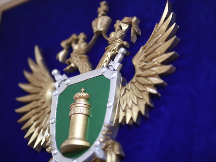 Об ужесточении уголовной ответственности за передачу банковских карт мошенникам («дропперам»). Об ужесточении уголовной ответственности за передачу банковских карт мошенникам («дропперам»).