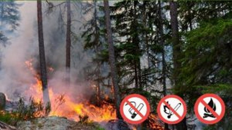 В Республике Коми пожароопасный сезон. В Республике Коми пожароопасный сезон.