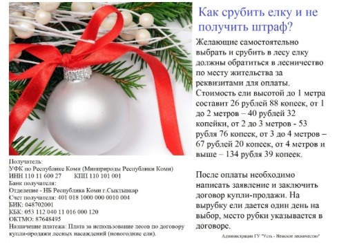 Как срубить елку и не получить штраф. Как срубить елку и не получить штраф.